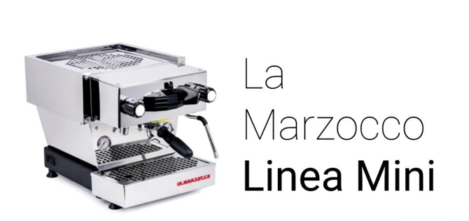 Screenshot 2026-02-24 at 12.34.30 PM